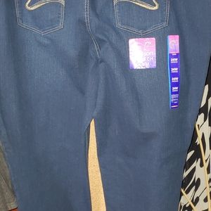 Brand New with tags PLUS size 24